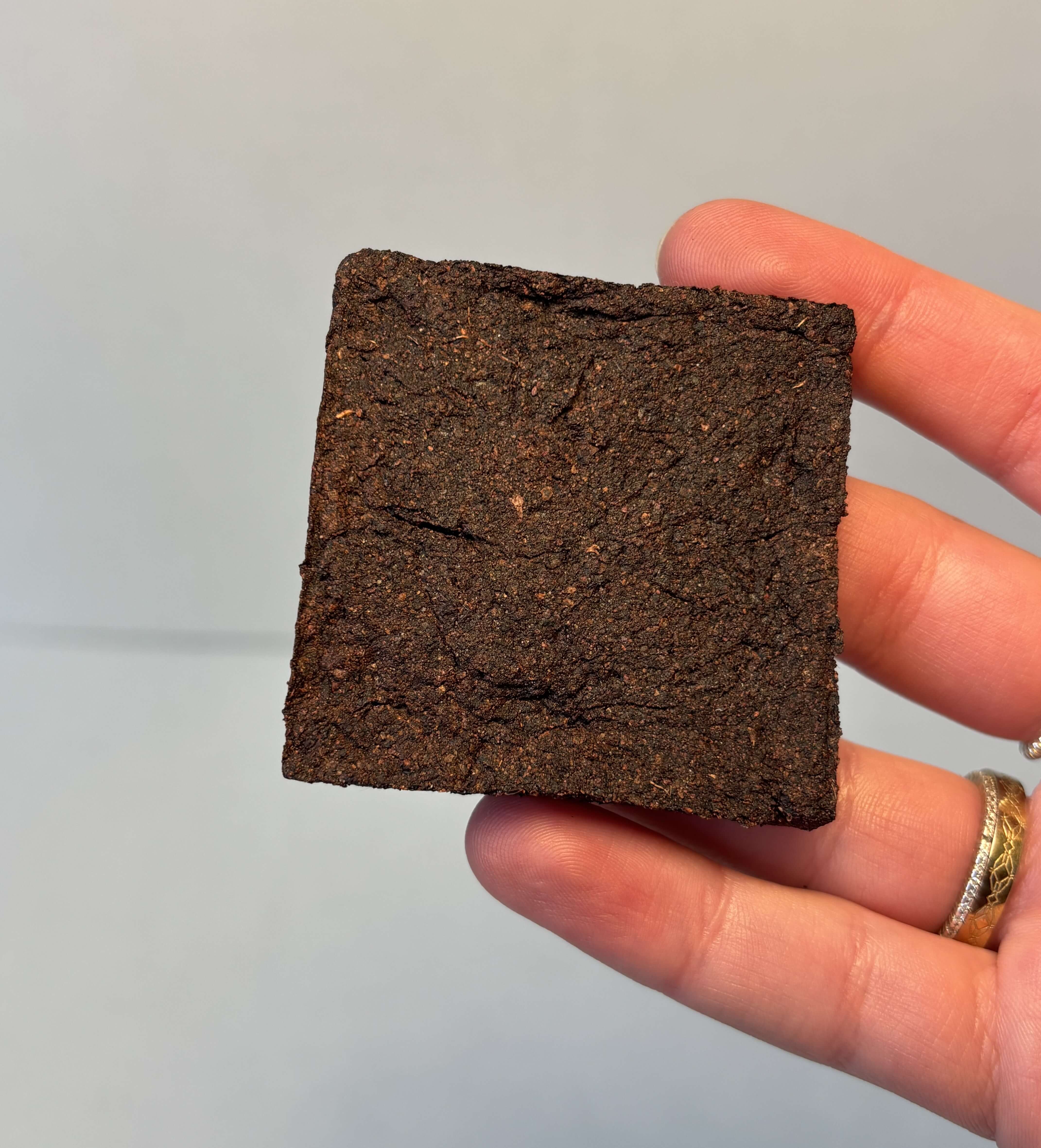 Feste Materialprobe aus Weintrester in der Hand