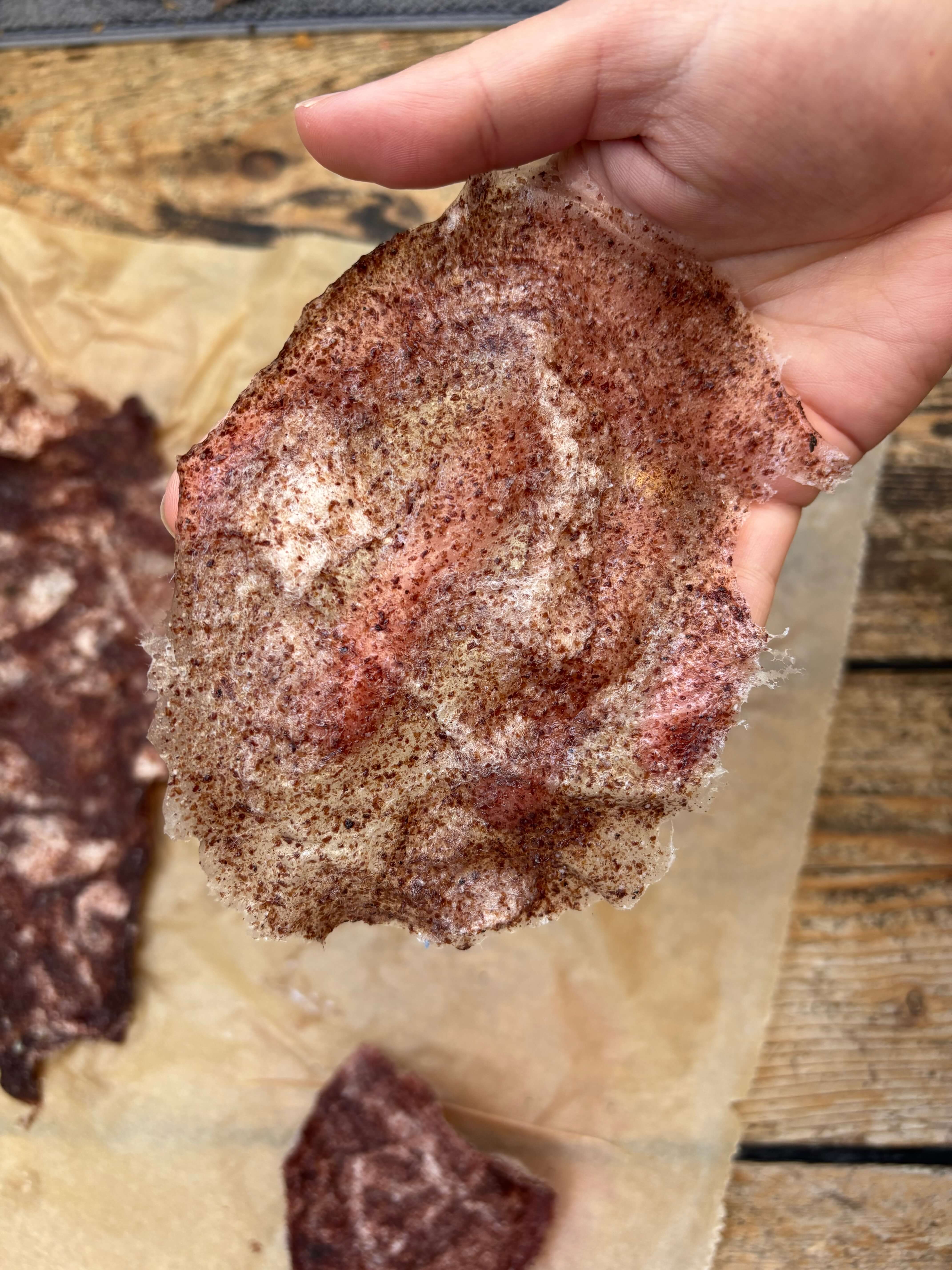 Dünne, transluzente Materialprobe aus Weintrester