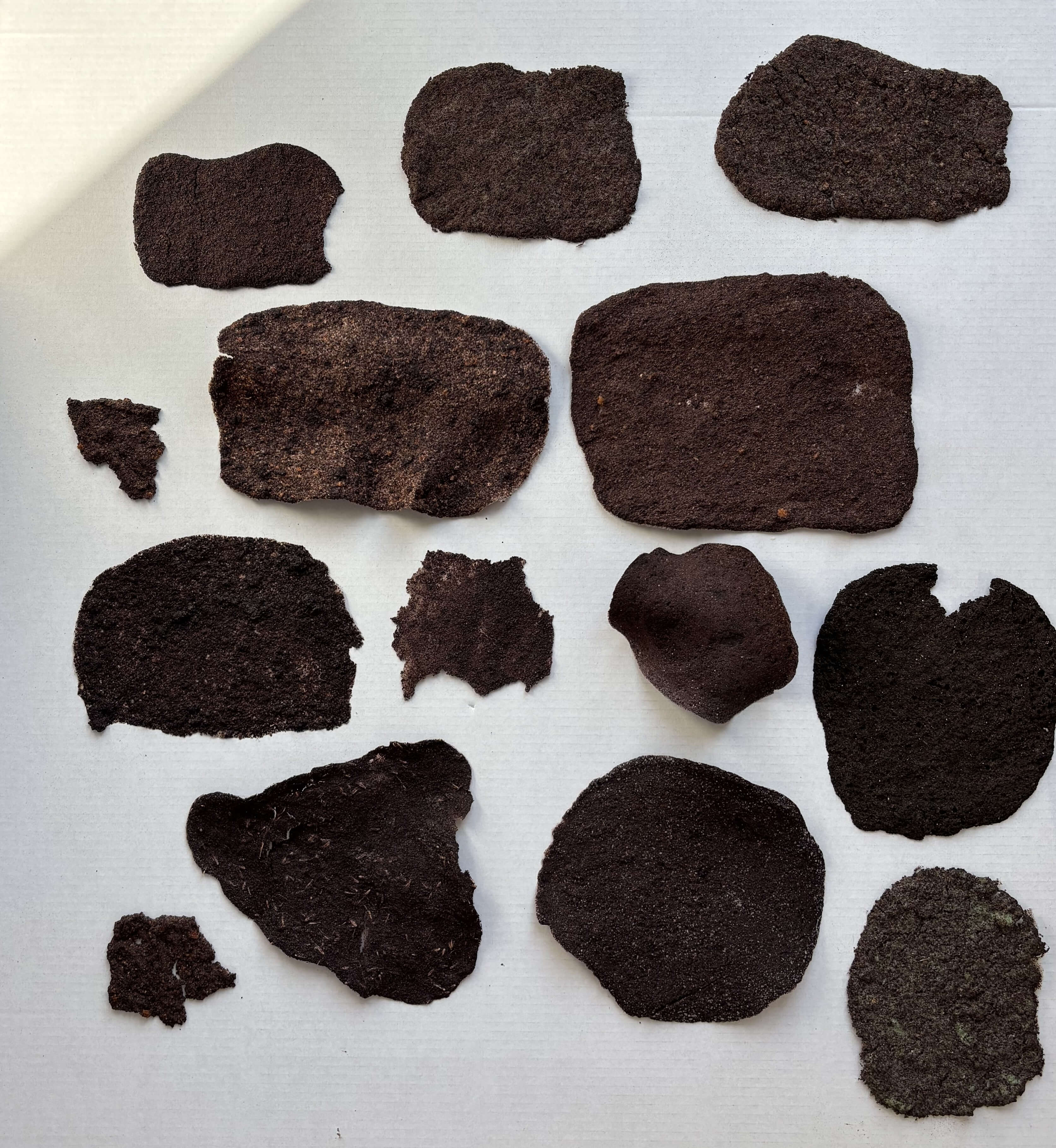 Sammlung verschiedener Materialproben aus Weintrester