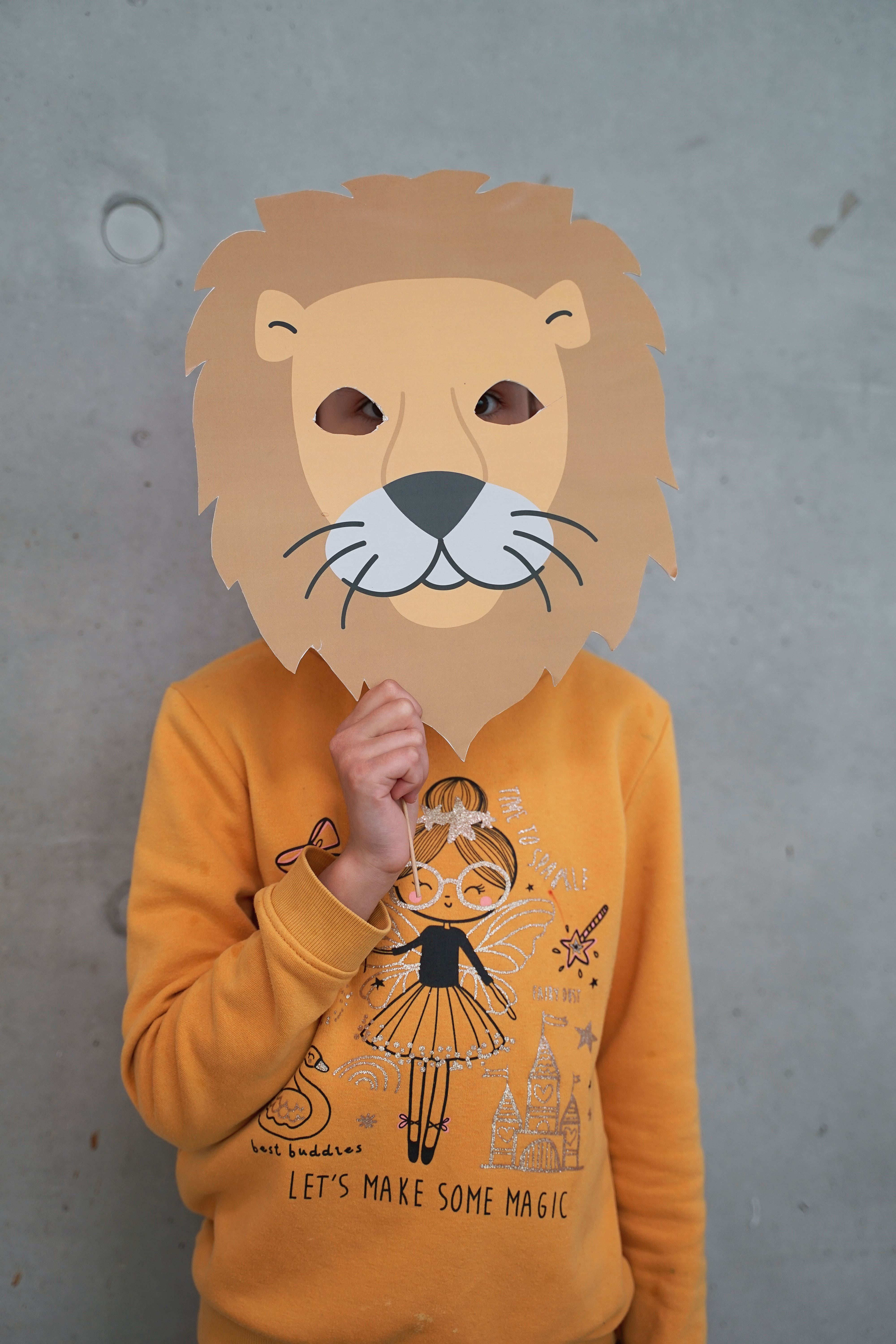 Lion mask selected during the intervention