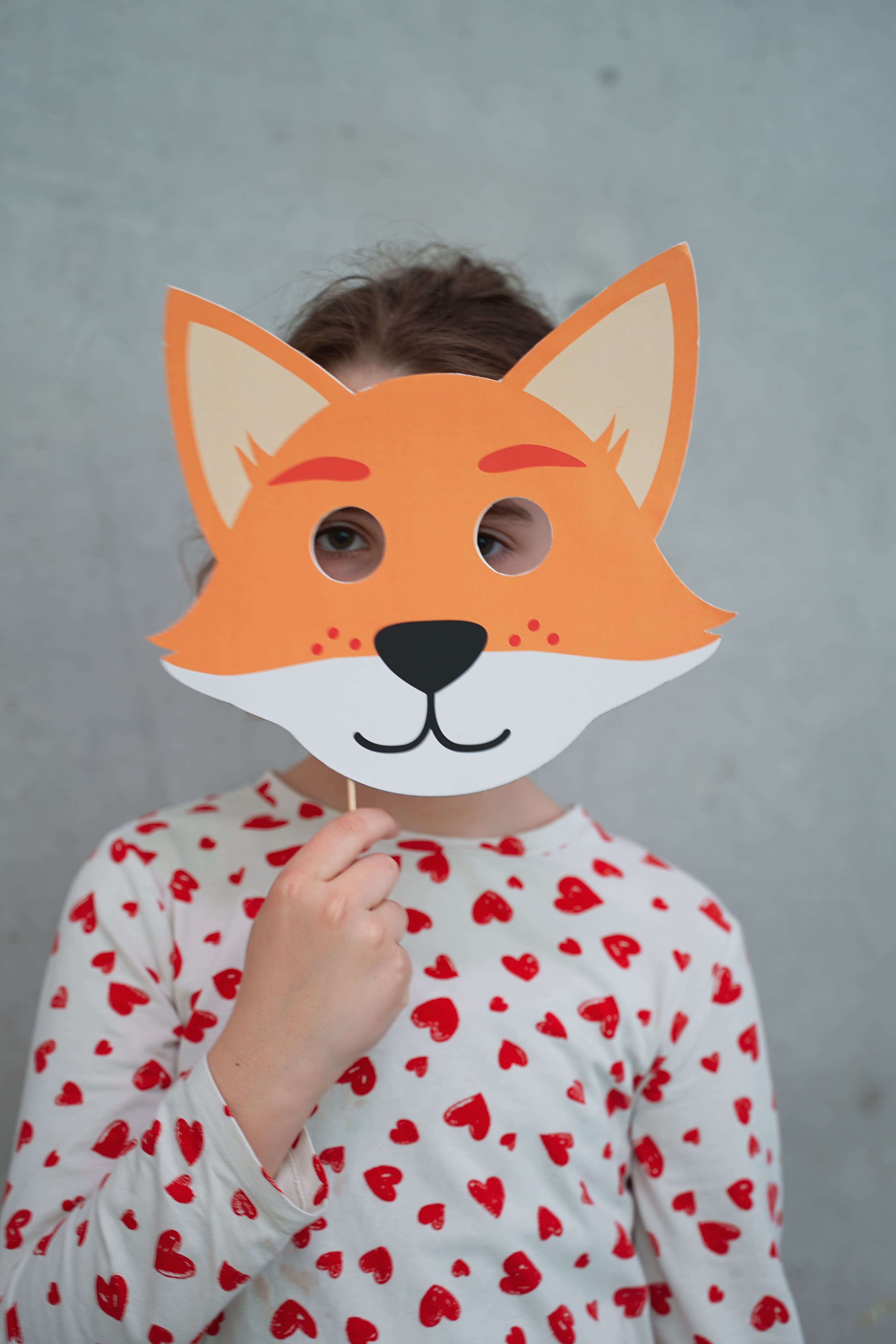 Fox mask selected during the intervention